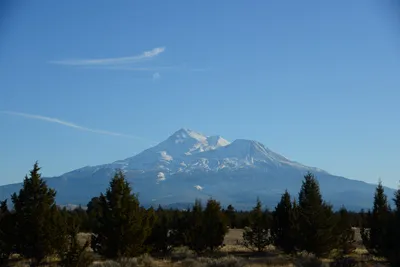 DSC_2979 (Large).JPG